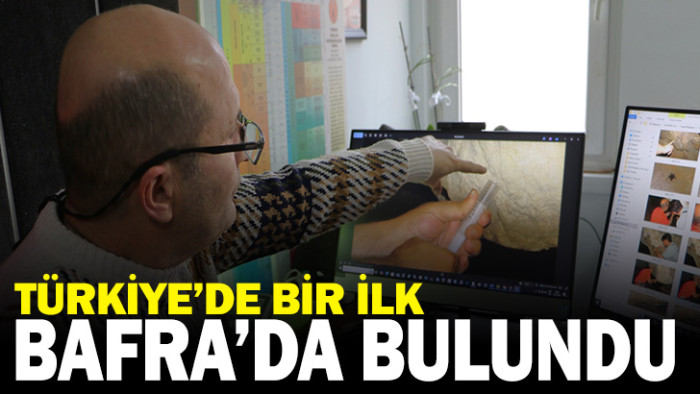 Bafra'da  Ay sütü bakterisi bulundu