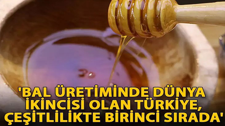 'Bal üretiminde dünya ikincisi olan Türkiye, çeşitlilikte birinci sırada'