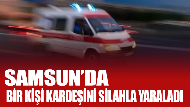 Samsun'da bir kişi kardeşini silahla yaraladı