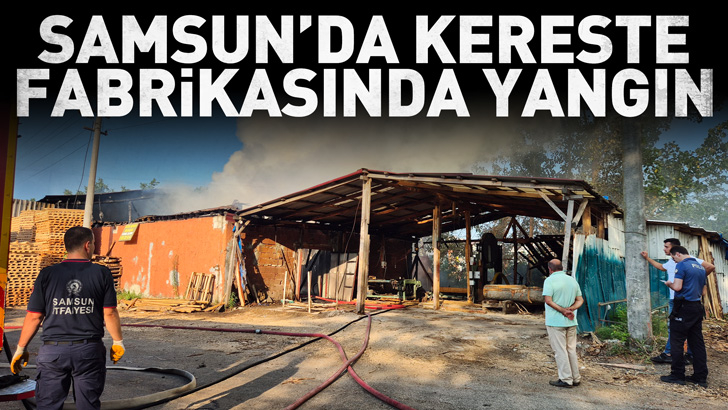 Samsun'da kereste fabrikasında yangın