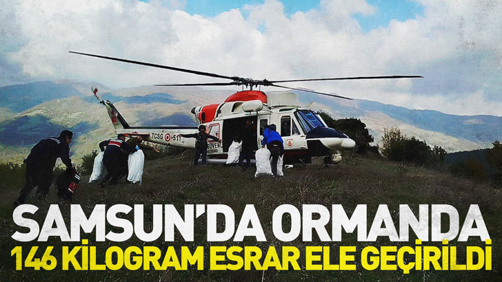 Samsun'da ormanda 146 kilogram esrar ele geçirildi; 2 gözaltı